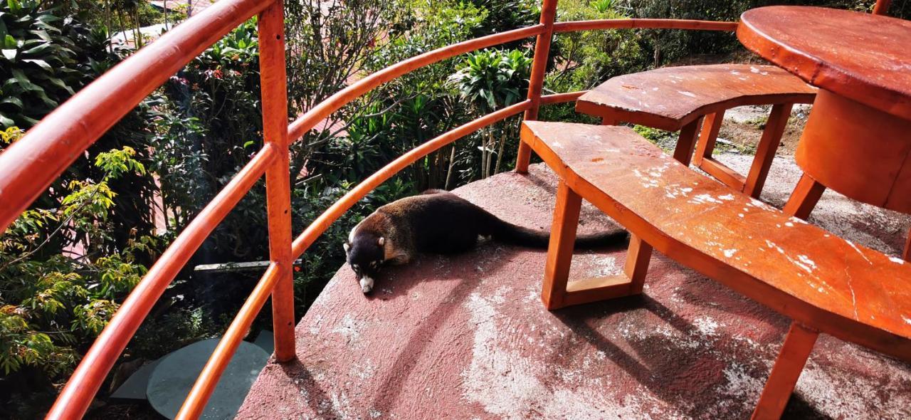 Mora'S Place B&B Monteverde Dış mekan fotoğraf