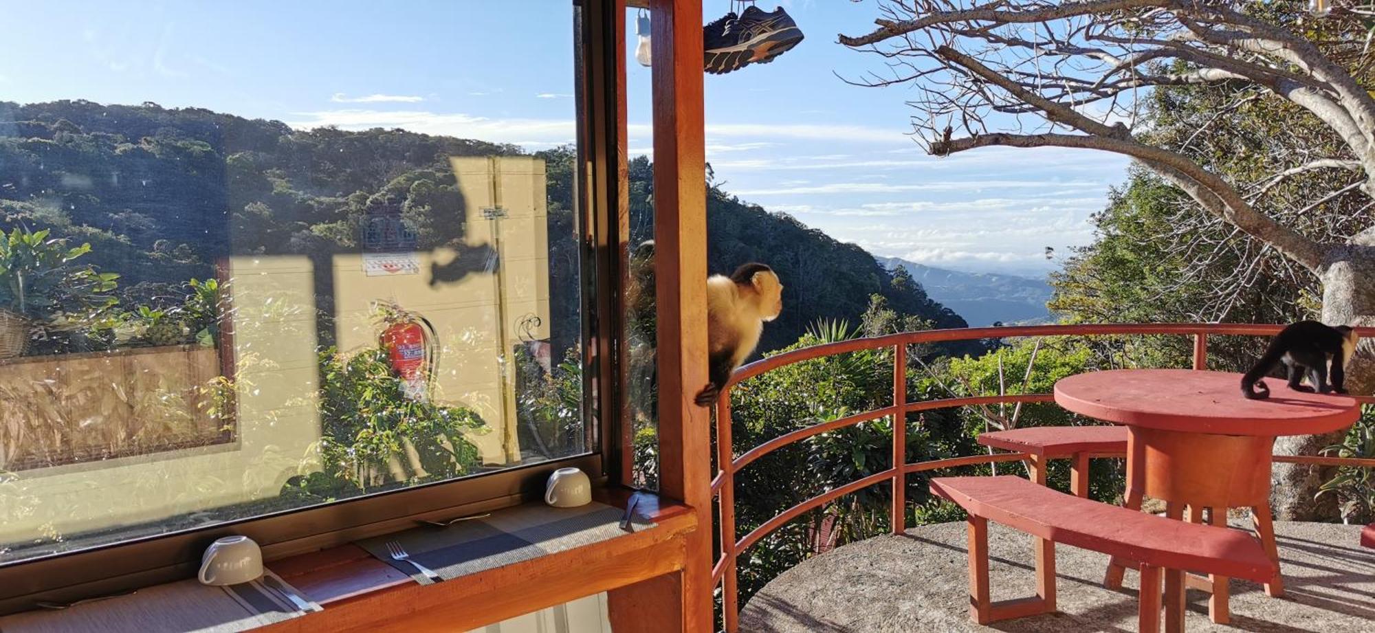 Mora'S Place B&B Monteverde Dış mekan fotoğraf