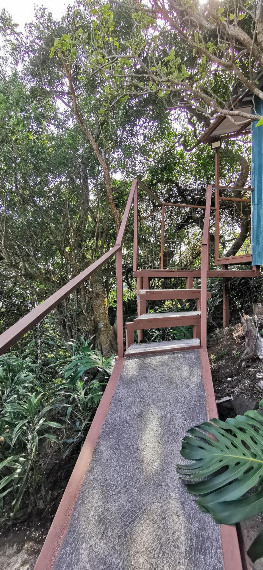 Mora'S Place B&B Monteverde Dış mekan fotoğraf