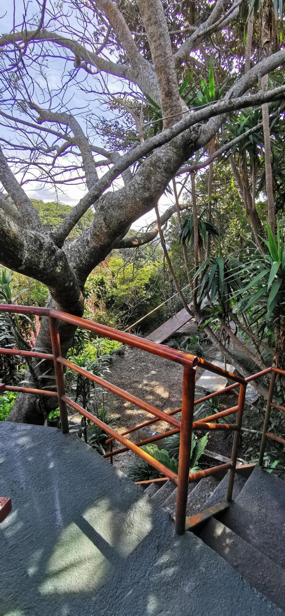 Mora'S Place B&B Monteverde Dış mekan fotoğraf