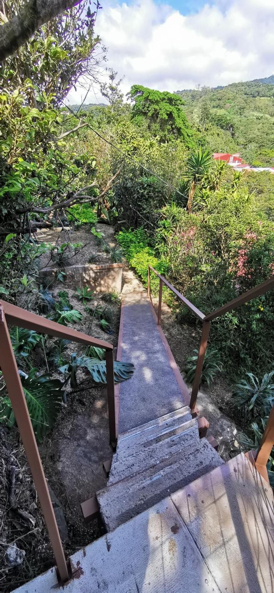 Mora'S Place B&B Monteverde Dış mekan fotoğraf