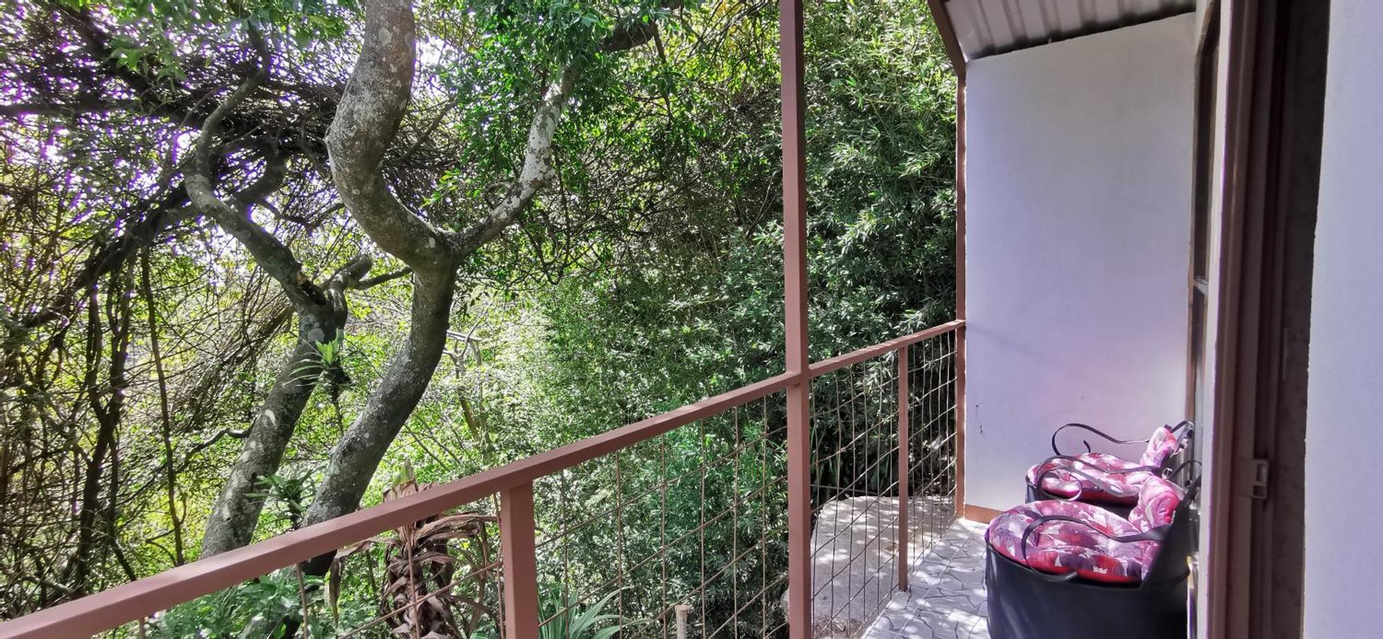 Mora'S Place B&B Monteverde Dış mekan fotoğraf